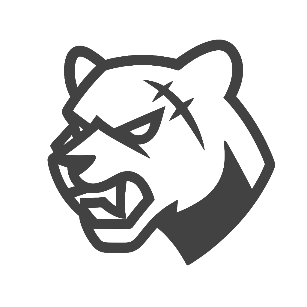 Scar Programming Language